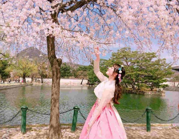 TOUR DU LỊCH HÀN QUỐC 5 NGÀY 4 ĐÊM BẢN PHỔ THÔNG NGẮM TRỌN VẺ ĐẸP HOA ANH ĐÀO (THÁNG 3,4) LỄ 30.4-1.5 TOUR CHẤT LƯỢNG CAO GIÁ TỐT TỪ HÀ NỘI TP HỒ CHÍ MINH - SEOUL-NAMI - EVERLAND - CÔNG VIÊN YEOUIDO - RỪNG SEOUL 