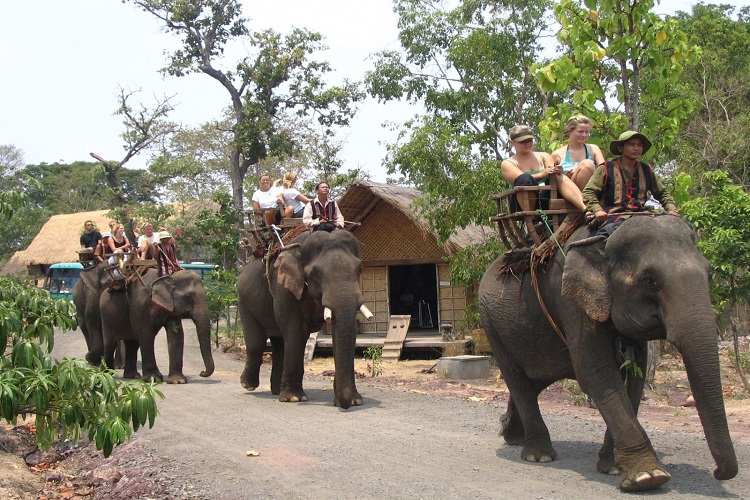 TIẾNG GỌI ĐẠI NGÀN TÂY NGUYÊN KHỞI HÀNH TỪ HÀ NỘI – ĐÀ LẠT – BUÔN MÊ THUỘT HỒ LAK BUÔN ĐÔN BẢO TÀNG CAFE TRUNG NGUYÊN TOUR 5 NGÀY 4 ĐÊM ĐẶC SẮC NGẮM MÙA HOA CAFE KHI CHỚM HÈ 