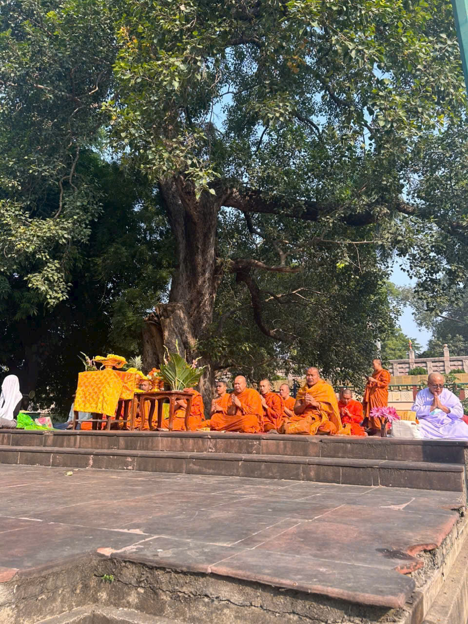 TOUR HÀNH HƯƠNG ẤN ĐỘ GIÁ ƯU ĐÃI CHO QUÝ TĂNG NI PHẬT TỬ NHẬN GHÉP KHÁCH TỪ HÀ NỘI & TP HỒ CHÍ MINH TU TẬP TẠI CỘI BỒ ĐẠO TRÀNG 6 NGÀY 5 ĐÊM 